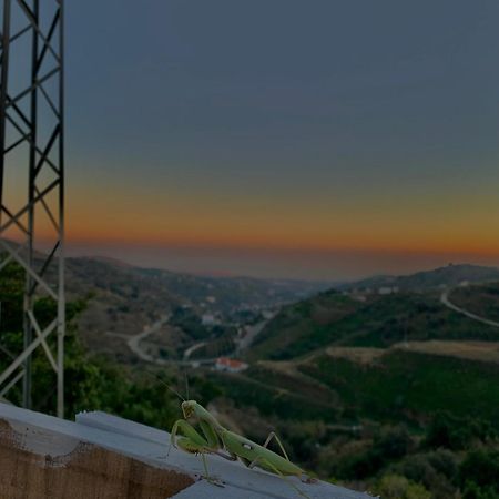 Casa Rural Malaga Monkey Love Con Jacuzzi Iznate Eksteriør billede